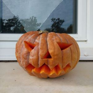 "Allo ween, ici trouille!"