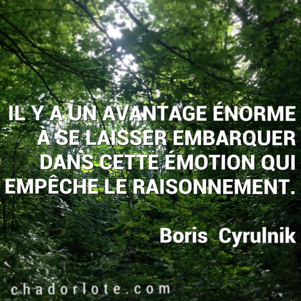 13782089_10154321188586358_4602177729079661399_n