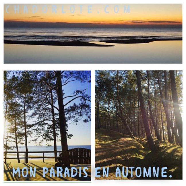 14681744_356795061320072_6469828619708494870_n