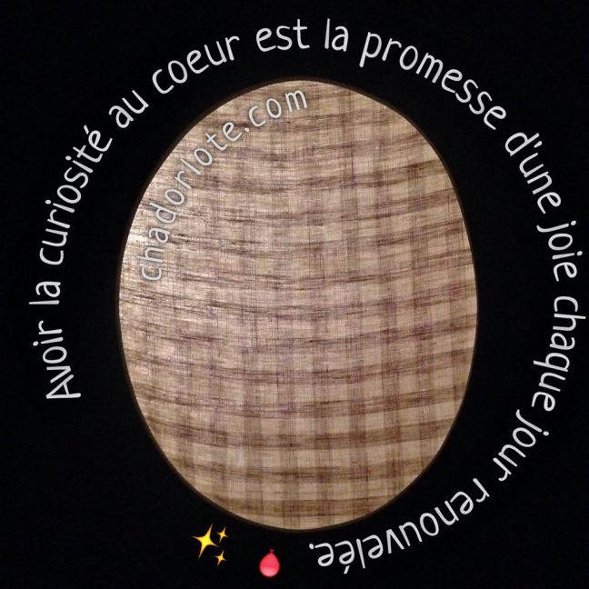 16473944_408057216193856_1522761162721336690_n